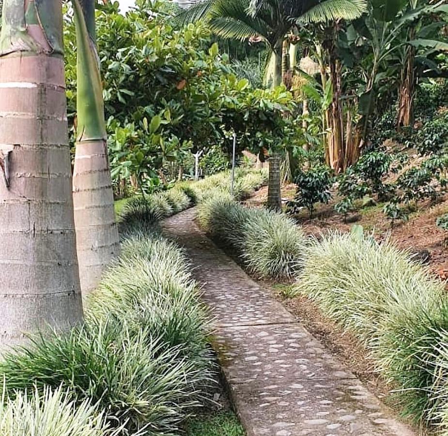 ארמניה Praga Hotel Campestre מראה חיצוני תמונה